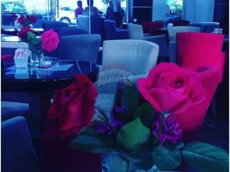 Shitet, Ambient Biznesi Dublex, i investuar si Bar-Kafe, Oxhaku, 180.000 Euro 8