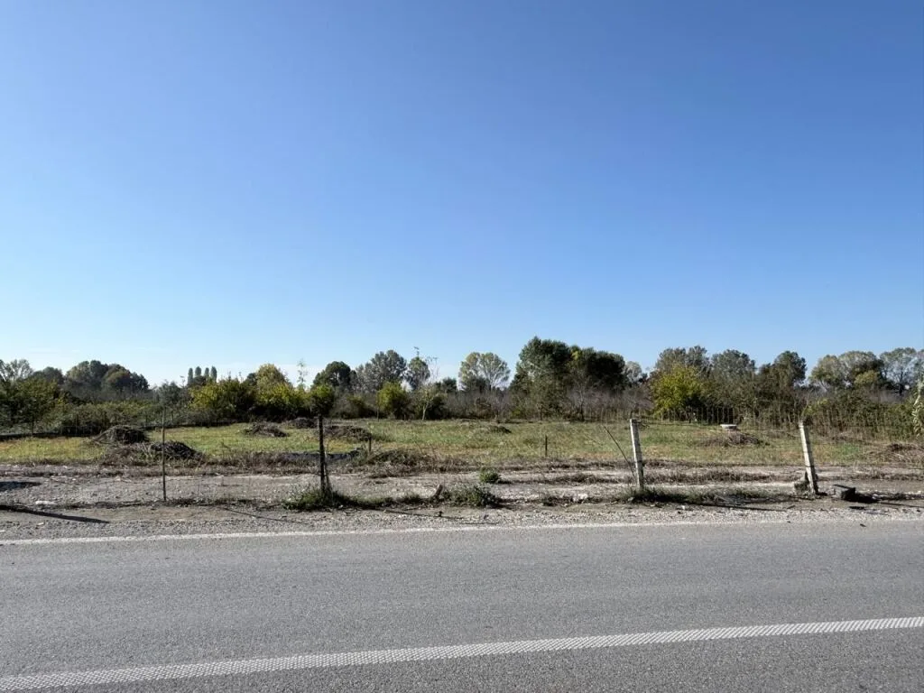 SHITET TOKE GJIRI LALEZIT VIJA PARE ME RRUGEN 4