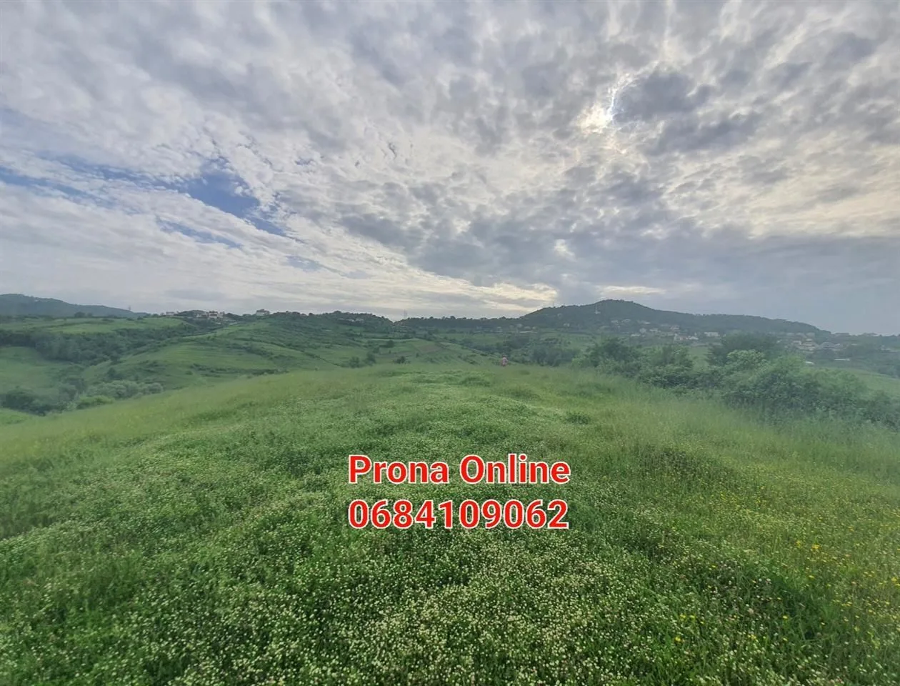 SHITET 2.400 m2 tokë pranë Liqenit të Kasharit 2