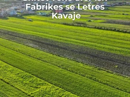 SHITET TOKE ULLISHTE 2.500 M2 NE RROGOZHINE 75.000 EURO 3