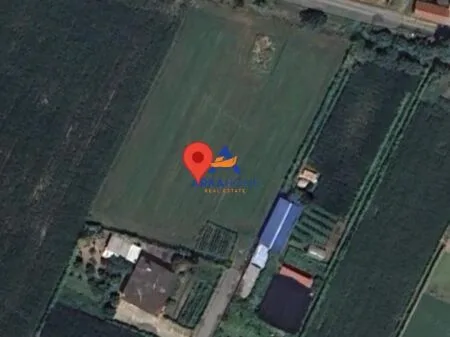 SHITET TOKE 4,000 M2 "FSHATI GAJUSH, LEZHE" 55.000 EURO