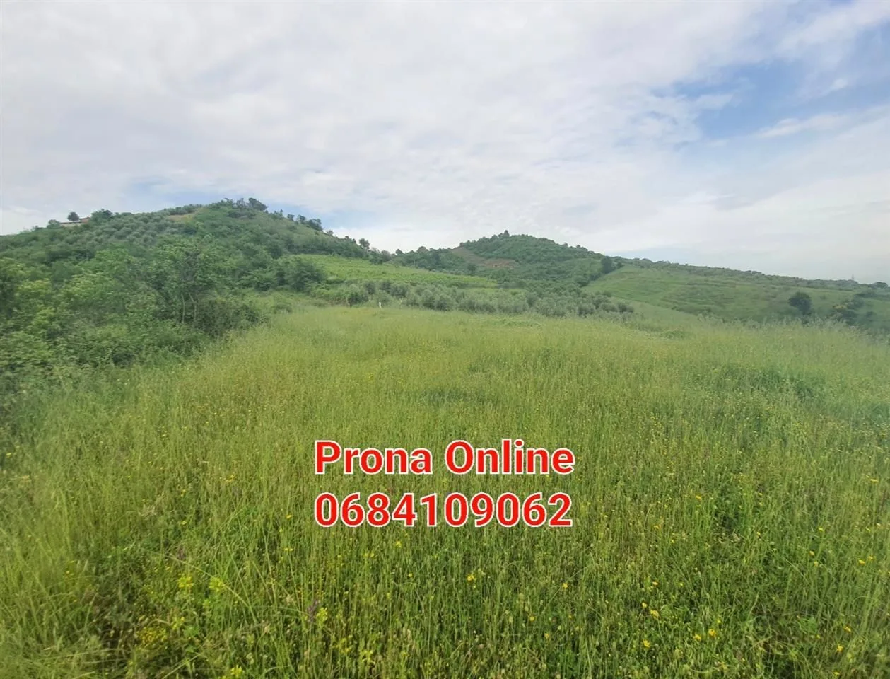 SHITET 2.400 m2 tokë pranë Liqenit të Kasharit 15