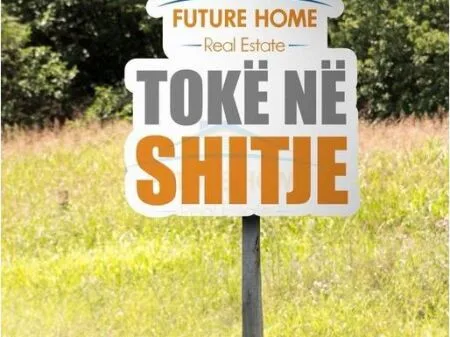 SHITET TOKE GJIRI LALEZIT VIJA PARE ME RRUGEN 10