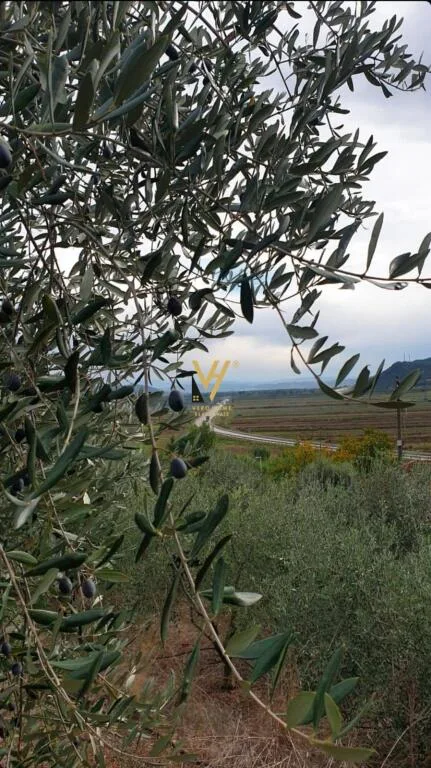 SHITET TOKE ULLISHTE 2.500 M2 NE RROGOZHINE 75.000 EURO 2