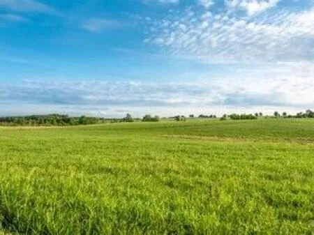 🏡 Toke ne shitje » Autostrada Tiranë-Durrës, Maminas, Tirane 2