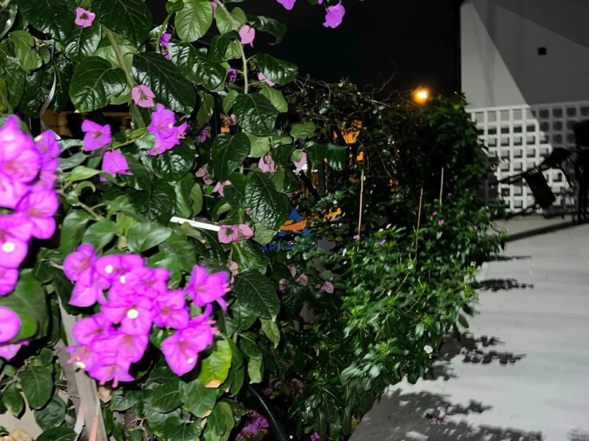 JEPET ME QERA SHTÈPI PRIVATE 1 KATESHE "SELITE" 60000 LEKE 11