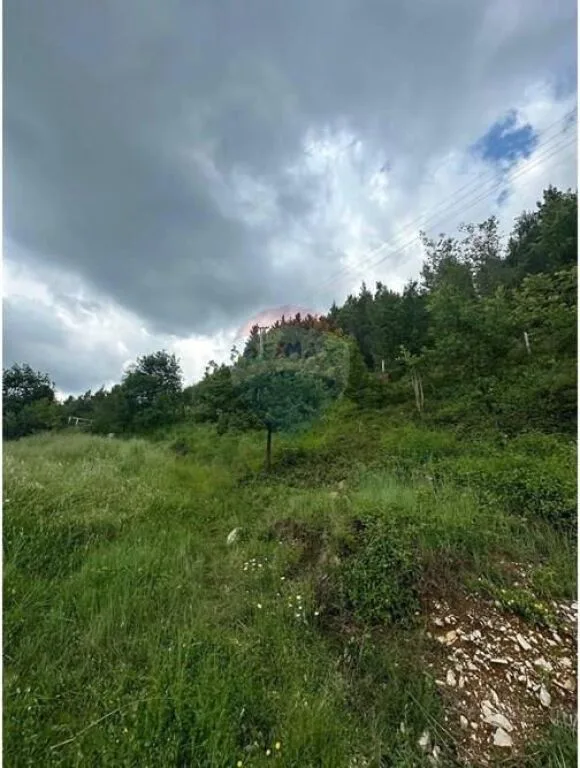 🏡 Toke ne shitje » Rruga Dajti, Tirane 3