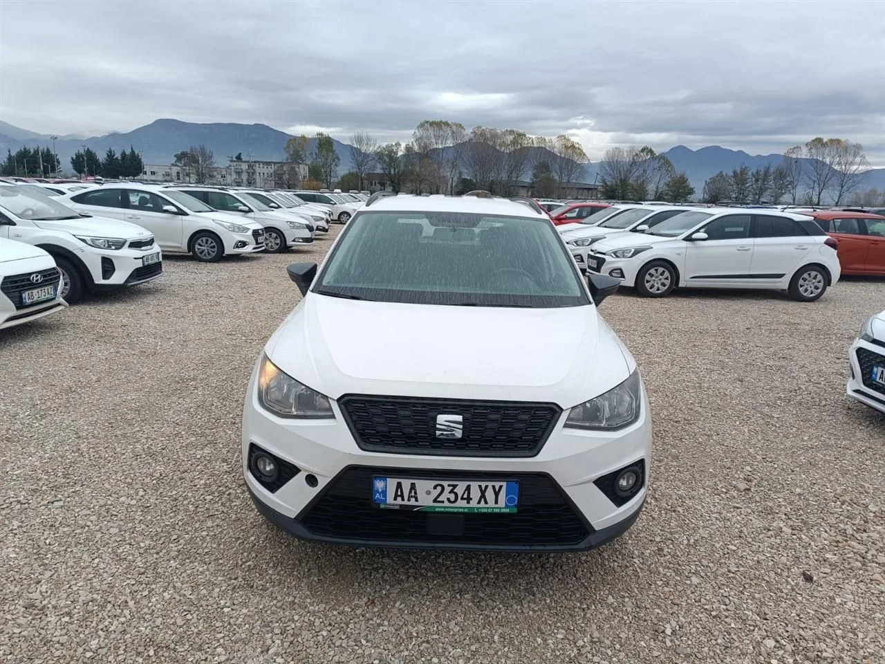 Seat Arona